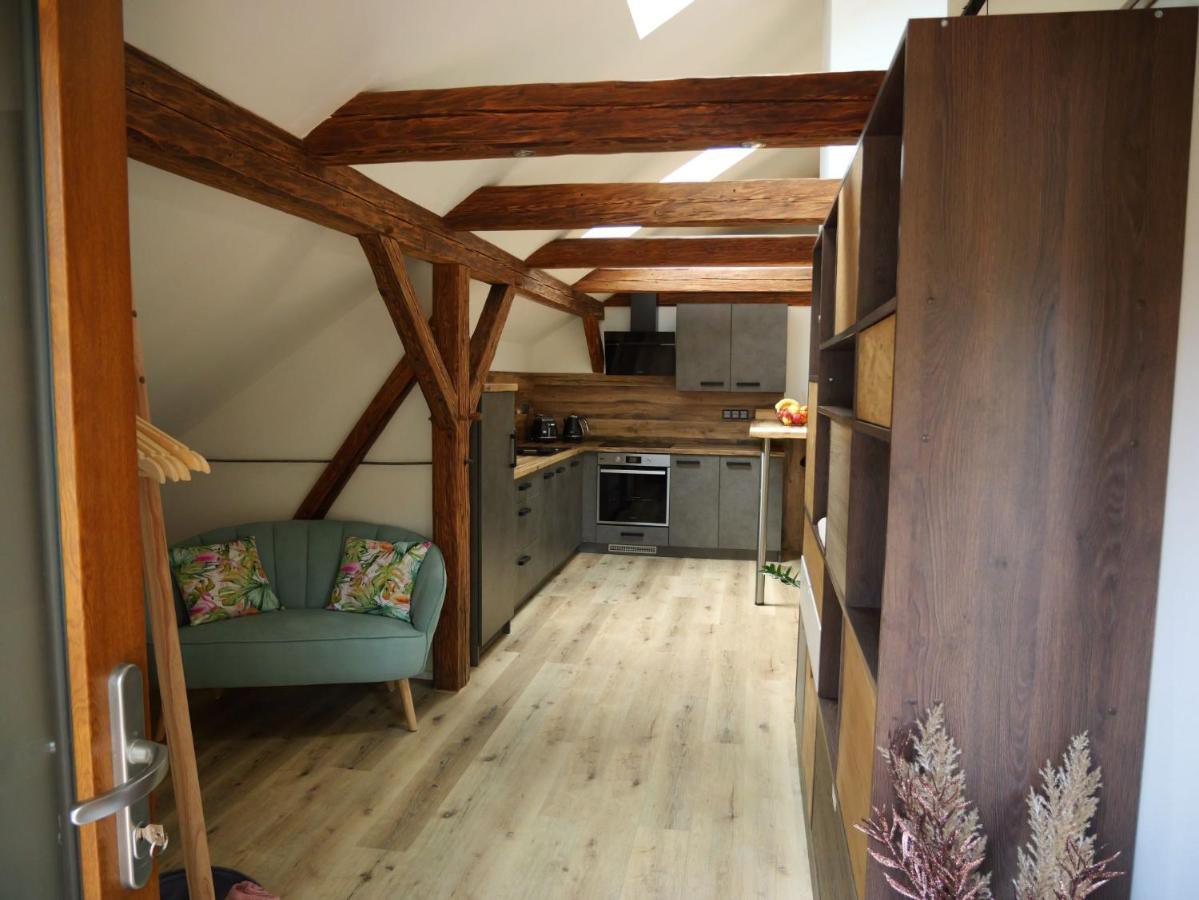 Apartman Danuse Česká Lípa 외부 사진
