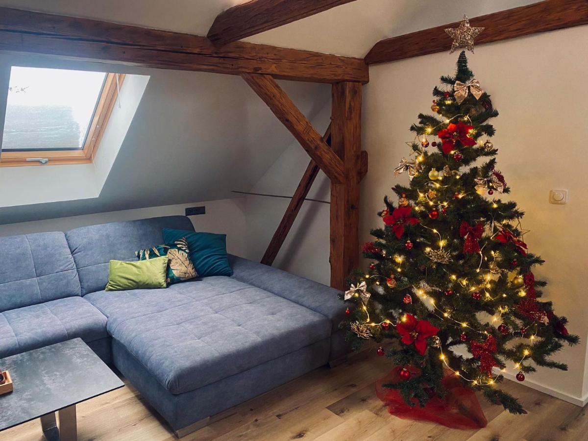 Apartman Danuse Česká Lípa 외부 사진
