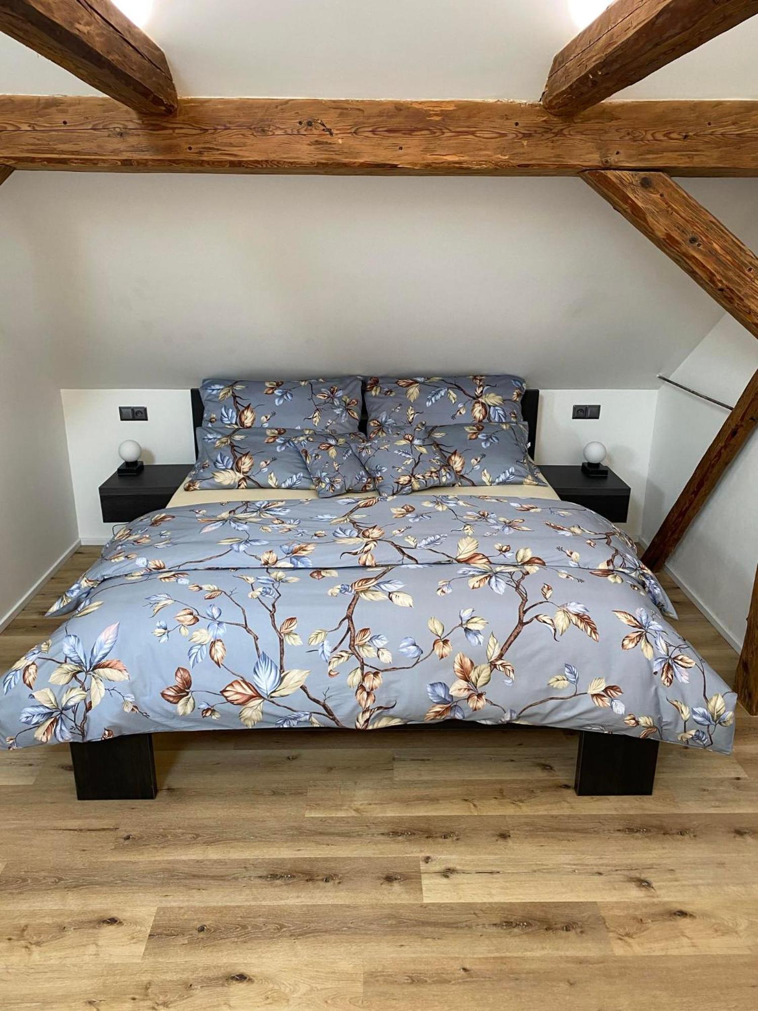 Apartman Danuse Česká Lípa 외부 사진